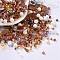 DIY Jewelry Making Finding Kit, Glass & Seed Beads, Round & Star & Moon, Coffee, 2~16x2~12x3~7mm, Hole: 0.8~1.2mm