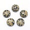 Natural Dalmatian Jasper Cabochons, Half Round, 12x5~6mm