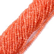 Кошачие глаза CE-I005-B1