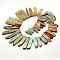 Chips Natural Aqua Terra Jasper Beads Strands, Dyed, 22~58x9~10x5~6mm, Hole: 1mm, 15.7 inch, about 5 strands/kg