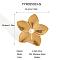 Flower Stainless Steel Rings for Women, with Plastic Imitation Pearls, Golden, 39.4x39.4mm