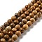 Natural Picture Jasper Beads Strands, Faceted(128 Facets), Round, 10mm, Hole: 1mm, about 36~38pcs/strand, 14.17~14.96 inch(36~38cm)