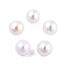 Natural Cultured Freshwater Pearl Beads, No Hole/Undrilled, Round, Floral White, 6.5~7mm