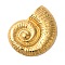 Ion Plating(IP) 304 Stainless Steel Pendants, Spiral Shell, Golden, 44x34x5mm