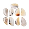 Natural American Agate Pendants, Teardrop/Rectangle, Mixed Shapes, 27~47.5x19~36.5x5~6mm, Hole: 1.6~1.8mm