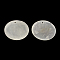 Flat Round Capiz Shell Pendants, WhiteSmoke, 30x0.5~1mm, Hole: 1.5mm
