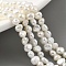 Natural Cultured Freshwater Pearl Beads Strands, Two Sides Polished, Grade 6A+, Floral White, 3~4mm, Hole: 0.5mm, about 48pcs/strand, 6.89''(17.5cm)