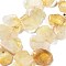 Natural Citrine Beads Strands, Nuggets, Top Drilled, 16~17x18~23.5x6~8mm, Hole: 0.7mm, about 15pcs/strand, 7.28~7.72''(18.5~19.6cm)