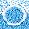 Baking Paint Glass Seed Beads, Oval, Dodger Blue, 7x4~4.5mm, Hole: 0.9mm, about 2500pcs/pound