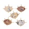 Natural Crazy Agate Links Connectors, with Brass Micro Pave Cubic Zirconia Findings, Eye, Light Gold, 31.5x41~41.5x2.5mm, Hole: 1.4mm