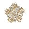 Pentagon Alloy Rhinestone Brooches for Backpack Clothes, Golden, 65mm