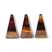 Подвески из смолы и дерева WOOD-F015-03F