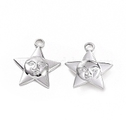 Подвески из нержавеющей стали 304 STAS-C003-14P