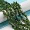 Natural Canadian Jade Beads Strands, Chips, 1.5~5x3~13x2~8mm, Hole: 0.6mm, 30.94~31.97''(78.6~81.2cm)