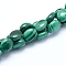 Natural Malachite Beads Strands, Oval, 8x6x3mm, Hole: 0.8mm, about 52pcs/strand, 15.75 inch(40cm)