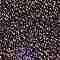 TOHO Round Seed Beads, Japanese Seed Beads, (325) Gold Luster Light Tanzanite, 11/0, 2.2mm, Hole: 0.8mm, about 5555pcs/50g