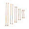 10Pcs 5 Size Ion Plating(IP) 304 Stainless Steel Chain Extender, End Chains with Lobster Claw Clasp, Rose Gold, 55~152mm, 2Pcs/size