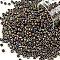 TOHO Round Seed Beads, Japanese Seed Beads, (614) Matte Color Iris Brown, 8/0, 3mm, Hole: 1mm, about 1110pcs/50g