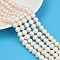 Natural Cultured Freshwater Pearl Beads Strands, Potato, Grade 2A++, White, 8~9mm, Hole: 0.7mm, about 50~51pcs/strand, 33.8~34.2cm