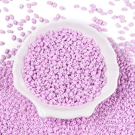 Выпечка краска стеклянные бусины SEED-T006-03L-1