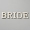 Word BRIDE Iron on Appliques, with ABS Plastic Imitation Pearl Beads & Non-woven Felt Fabric, Costume Accessories, Sewing Craft Decoration, Crystal, 45~46x20~39x6mm, 5pcs/set