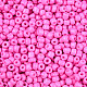 Выпечка краска стеклянные бусины SEED-S003-K2-2