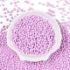 Выпечка краска стеклянные бусины SEED-T006-03L-1
