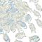 50Pcs Handmade Lampwork Fish Beads, AB Color Plated, Clear AB, 15x8x6mm, Hole: 1mm