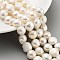 Natural Cultured Freshwater Pearl Beads Strands, Two Sides Polished, PapayaWhip, 11~13mm, Hole: 0.6mm, about 15pcs/strand, 6.30~6.69 inch(16~17cm)