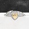 Gothic Style Brass Micro Pave Clear Cubic Zirconia Cuff Rings for Women, Heart with Wing, Real Gold Plated & Real Platinum Plated, 12x27.5mm