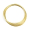 5M Eco-Friendly Brass Wire, Cadmium Free & Nickel Free & Lead Free, with 1Pc Empty Spools, Golden, 0.4mm, 26 Gauge, about 16.40 Feet(5m)/Roll