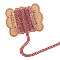 DIY Tool Sets, Brass Rhinestone Strass Chains and Display Cards, Mixed Color, 100~110x75~80x1mm