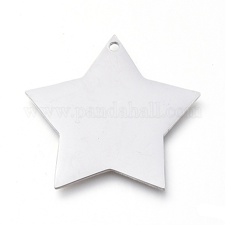 Подвески из нержавеющей стали 304 STAS-L238-108B-P-1