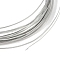 5M Aluminum Wire, Flat, for DIY Craft, Silver, 1x0.3mm, about 16.40 Feet(5m)/Roll