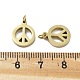 Подвески из нержавеющей стали 304 STAS-D302-02G-2