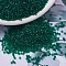 MIYUKI Delica Beads, Cylinder, Japanese Seed Beads, 11/0, (DB0776) Dyed Semi-Frosted Transparent Emerald, 1.3x1.6mm, Hole: 0.8mm, about 2000pcs/10g