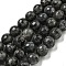 Natural Larvikite Beads Strands, (128 Facets)Faceted, Round, 10mm, Hole: 1.2mm, about 37pcs/strand, 14.96 inch(38cm)