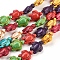 Synthetic Howlite Beads, Dyed, Turtle, Mixed Color, 17~18x13~14x6.5~7.5mm, Hole: 1mm, about 23pcs/strand, 15.04 inch(38.2cm)