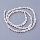 Нити бусин из ракушек SSHEL-E571-38-3mm-2