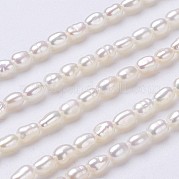 Нити из натурального культивированного пресноводного жемчуга PEAR-P002-45-01