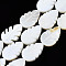 Natural Freshwater Shell Beads Strands, Leaf, 15x10x2~3mm, Hole: 1mm, about 26pcs/strand, 14.96~15.12 inch(38~38.4cm)