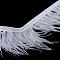 Fashion Ostrich Feather Cloth Strand Costume Accessories, Creamy White, 80~100mm, about 10yards/bag