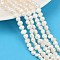 Natural Cultured Freshwater Pearl Beads Strands, Two Sides Polished, Grade 2A+, Seashell Color, 5~6mm, Hole: 0.7mm, about 63pcs/strand, 13.46~13.66''(34.2~34.7cm)