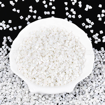 Выпечка краска стеклянные бусины SEED-N007-30L-1