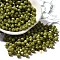 Baking Paint Glass Seed Beads, Bicone, Yellow Green, 4.5x4mm, Hole: 1.1mm, about 6428pcs/pound