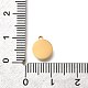 Плоские круглые подвески из нержавеющей стали 304 STAS-Q348-27A-G02-3