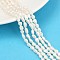 Natural Cultured Freshwater Pearl Beads Strands, Two Sides Polished, Grade 3A+, Seashell Color, 3~4mm, Hole: 0.7mm, about 74~77pcs/strand, 13.86~13.98''(35.2~35.5cm)