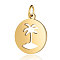 201 Stainless Steel Pendants, Flat Round with Coconut Tree, Golden, 16x13.5x1mm, Hole: 3mm