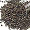 TOHO Round Seed Beads, Japanese Seed Beads, (614) Matte Color Iris Brown, 8/0, 3mm, Hole: 1mm, about 222pcs/bottle, 10g/bottle