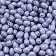 Выпечка расписных стеклянных бусин SEED-C004-04I-3